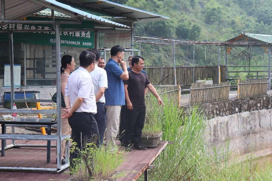 調研加范村珍珠鱉養殖產業