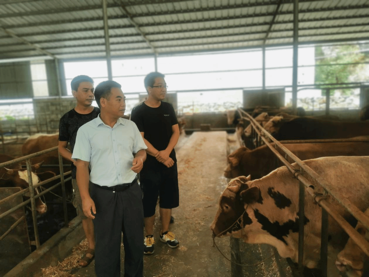 檢查組實地走訪群樂村鄉村振興建設項目