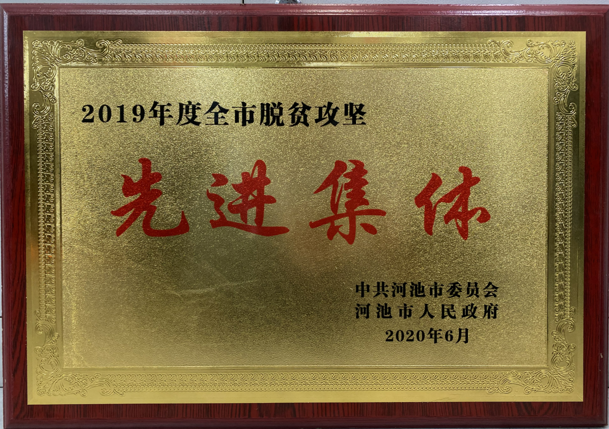 我校黨委組織部榮獲“2019年度河池市脫貧攻堅先進集體”稱號